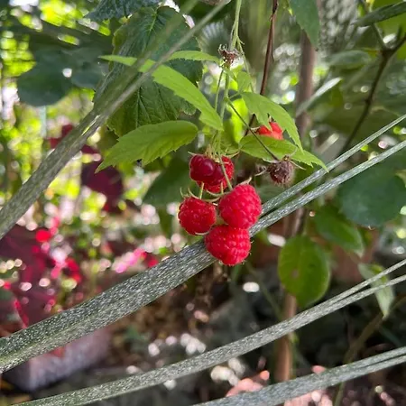 Maison Mele Apartman *