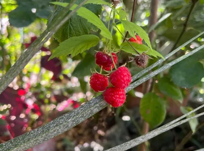 Maison Mele Appartamento *